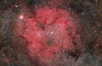 IC 1396 - Übersichtsbild 