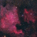Nordamerika-Nebel  NGC 7000