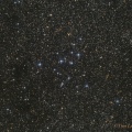 M 39