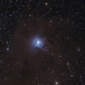 irisnebel